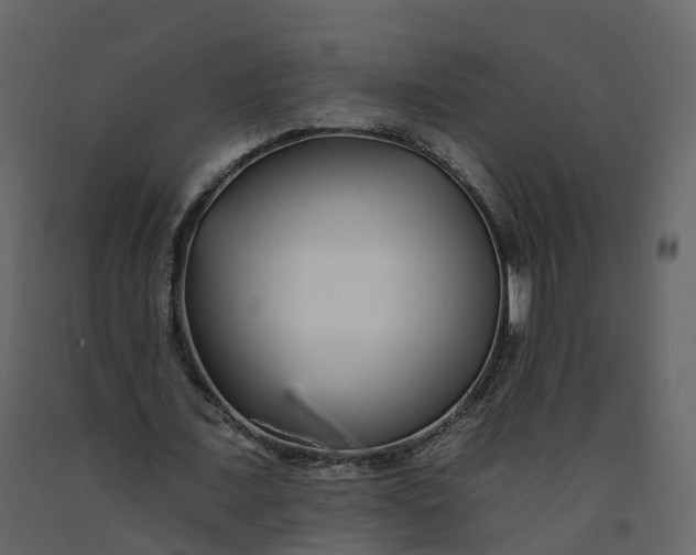 X0000092260675200710051320