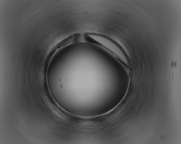 X0000092260677200710051319