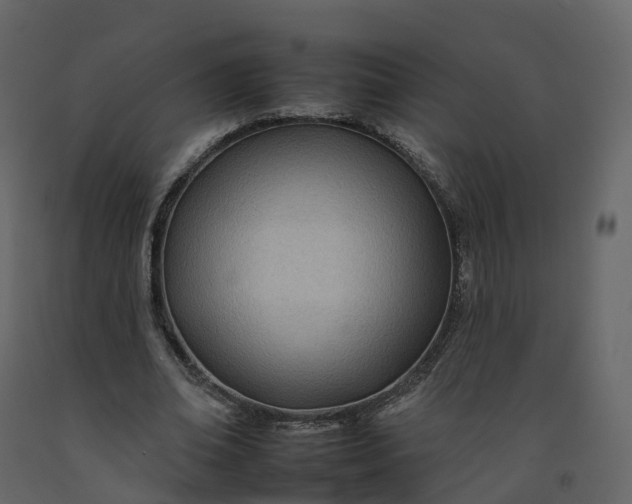 X0000092260678200710051319