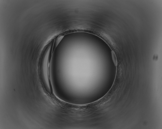 X0000092260680200710051319