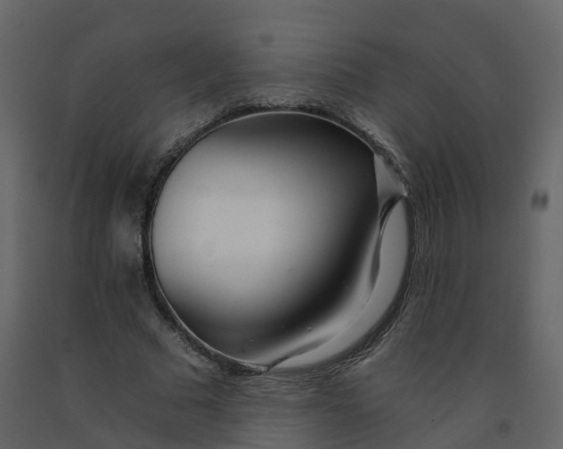 X0000092260681200710051319