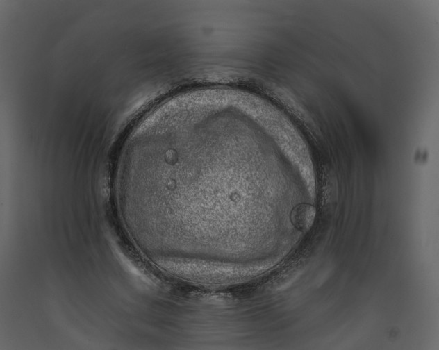 X0000092260683200710051319