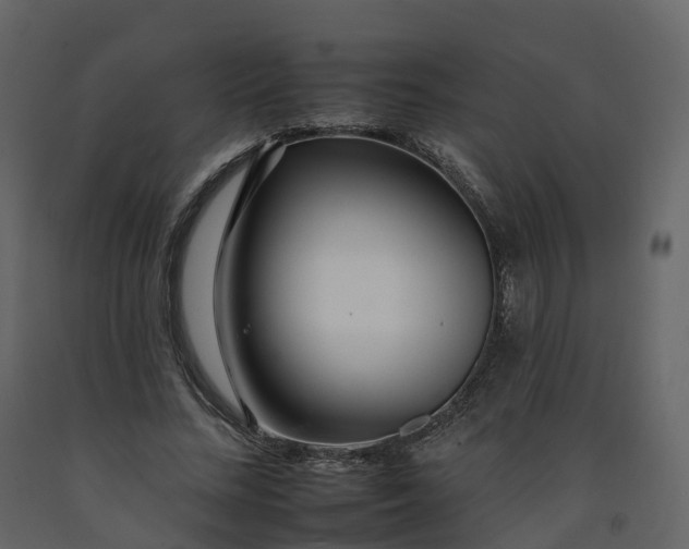 X0000092260684200710051319