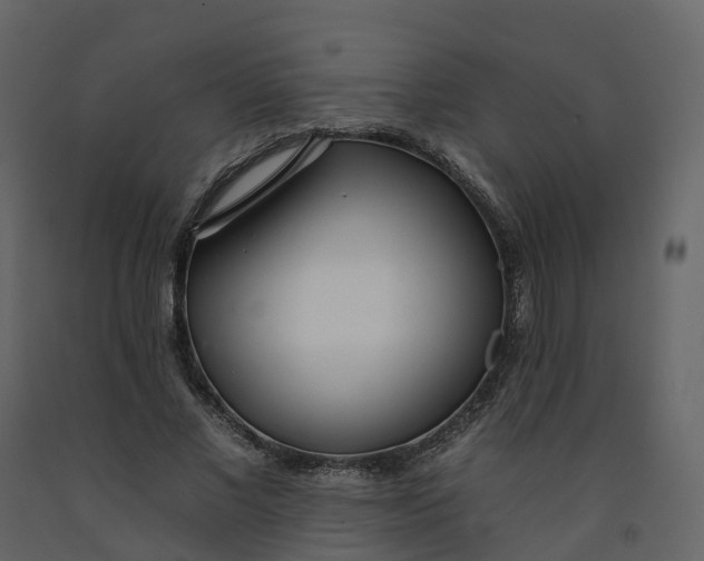 X0000092260685200710051319