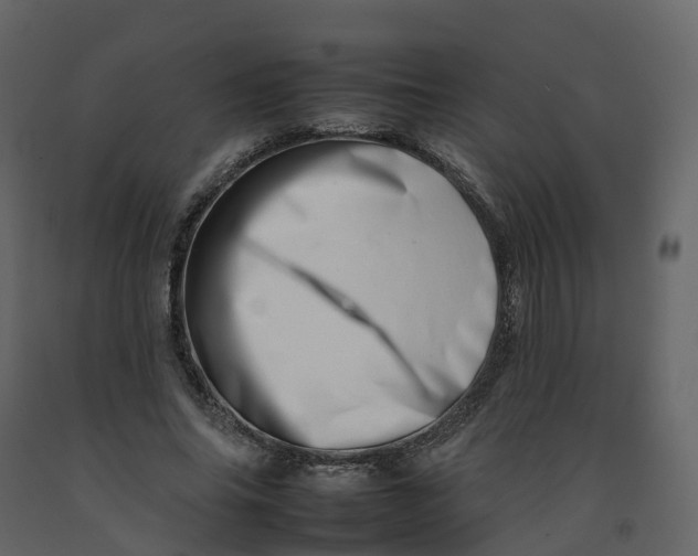 X0000092260686200710051319