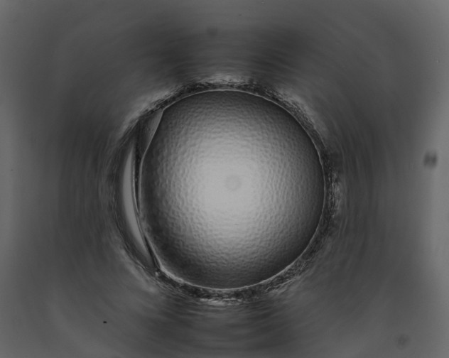 X0000092260688200710051319