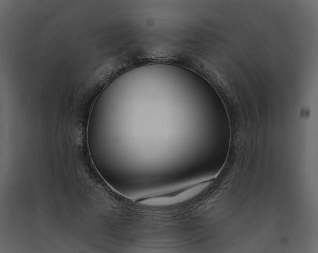 X0000092260689200710051319