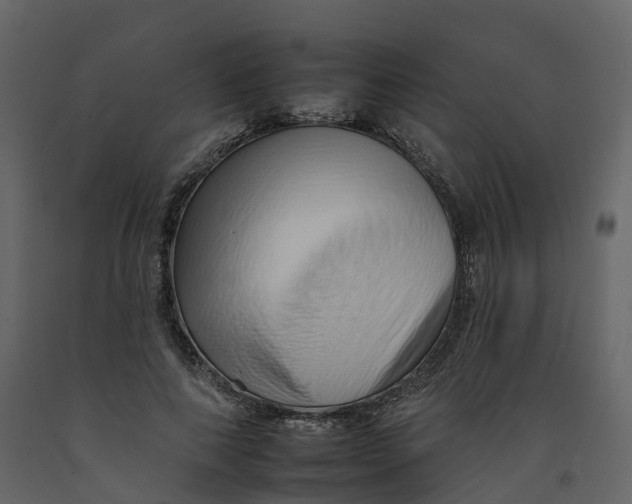 X0000092260690200710051319