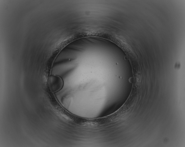 X0000092260691200710051319