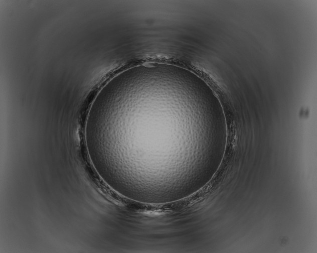 X0000092260692200710051319