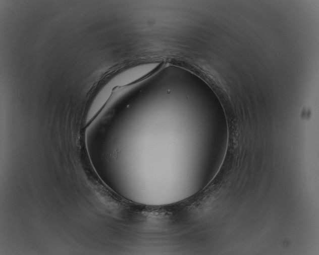 X0000092260693200710051319