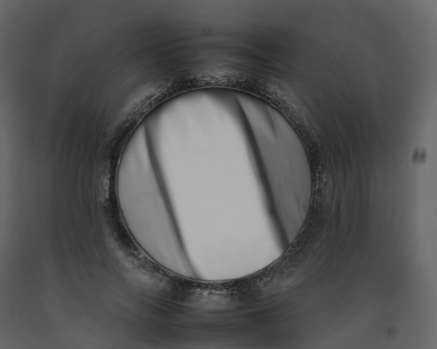 X0000092260694200710051319