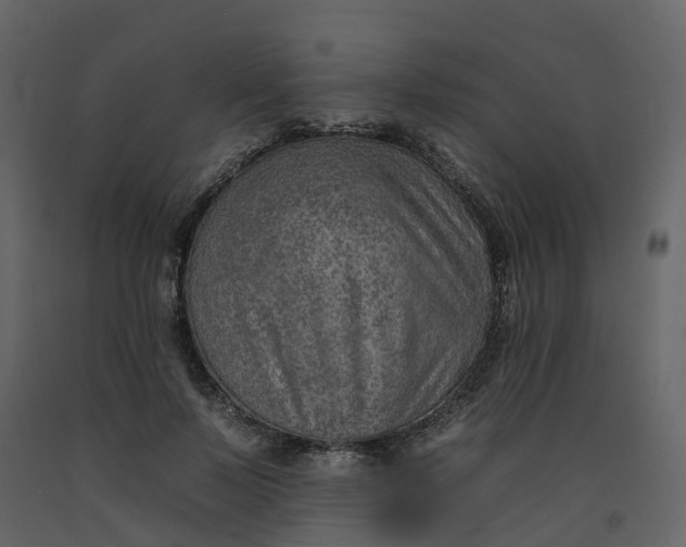 X0000092260695200710051319