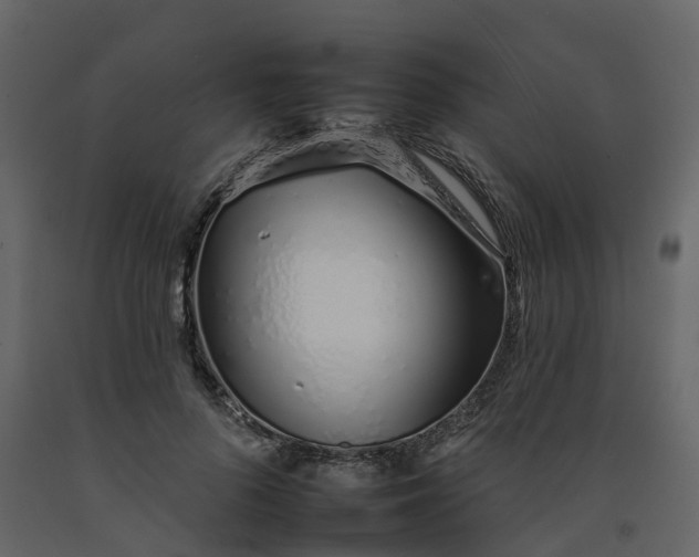 X0000092260696200710051319