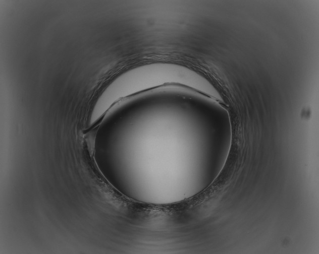 X0000092260697200710051319