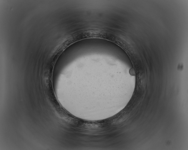 X0000092260698200710051319