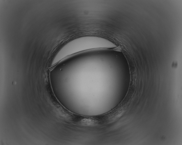 X0000092260699200710051319