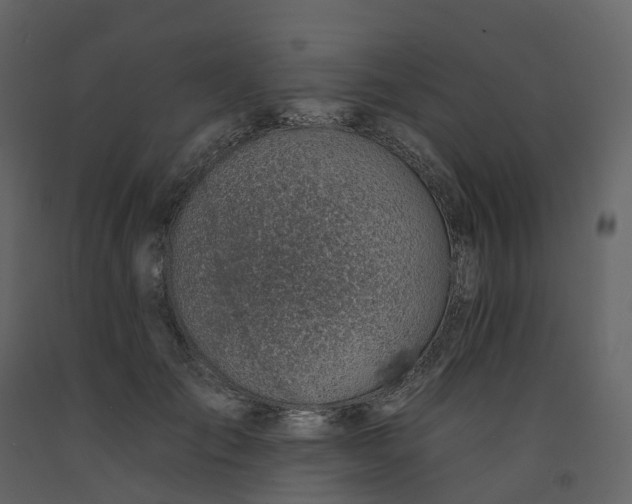 X0000092260701200710051319