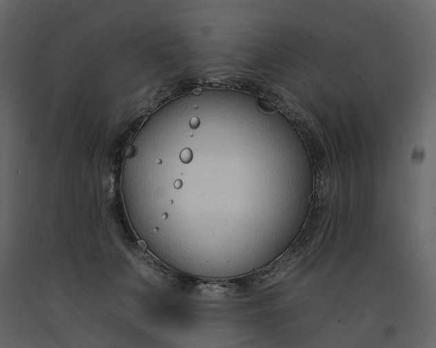 X0000092260703200710051319