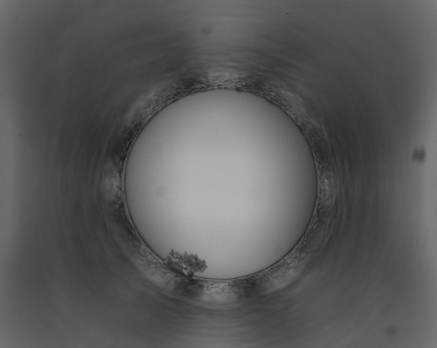 X0000092260705200710051319