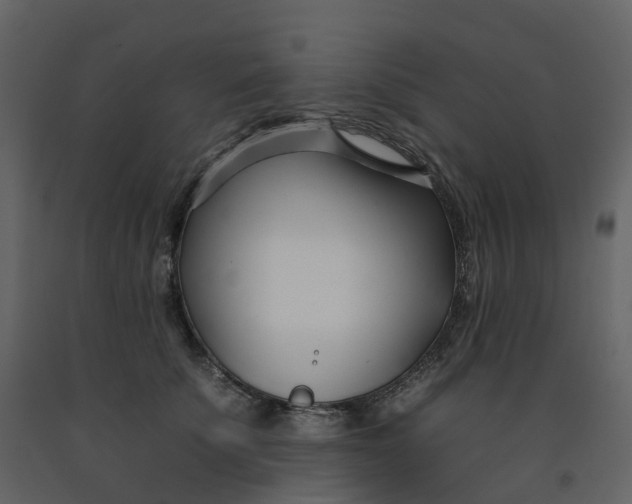 X0000092260707200710051319