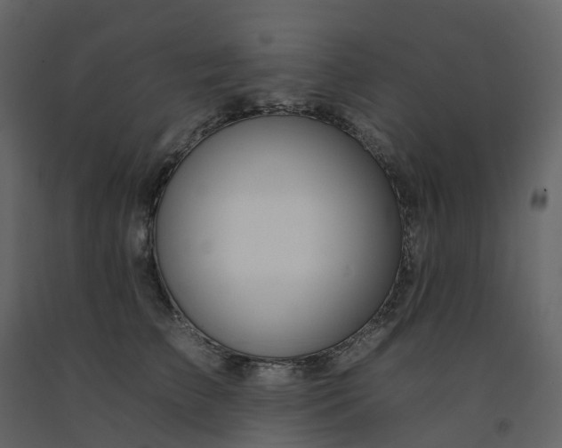 X0000092260709200710051319