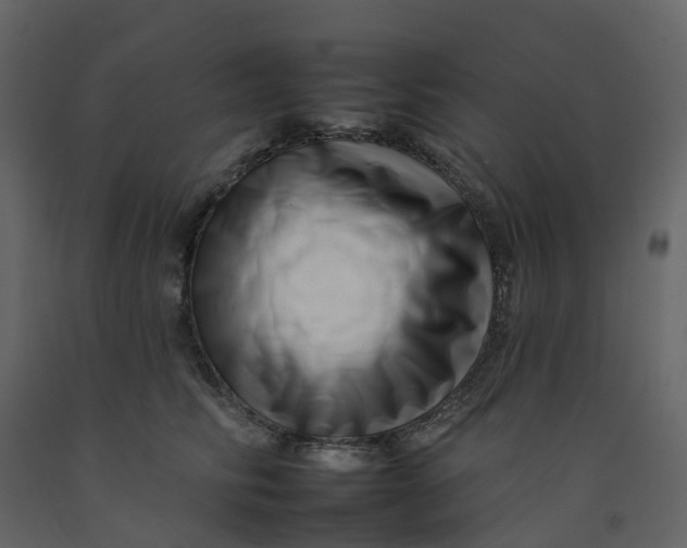 X0000092260710200710051319