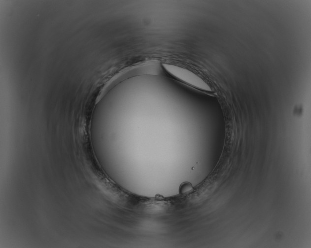 X0000092260711200710051319