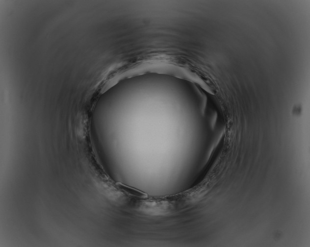 X0000092260712200710051319