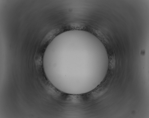 X0000092260713200710051319