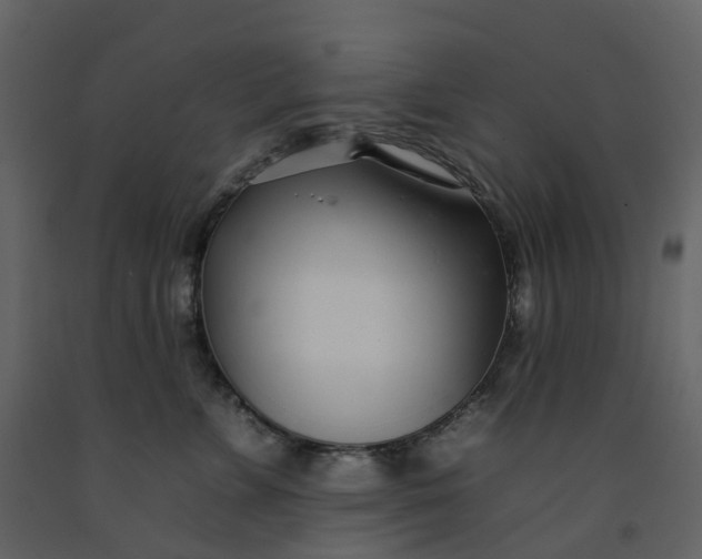 X0000092260715200710051319