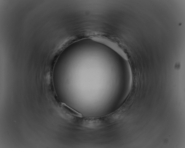 X0000092260716200710051319