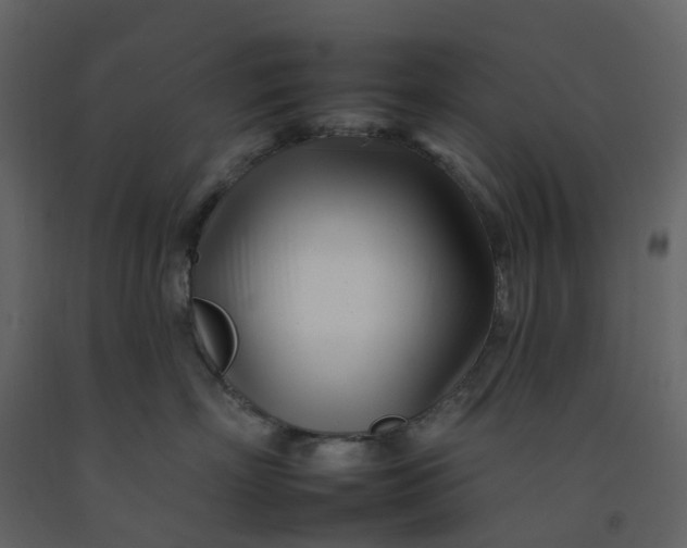 X0000092260718200710051319