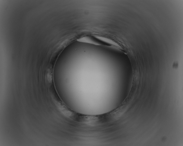 X0000092260719200710051319