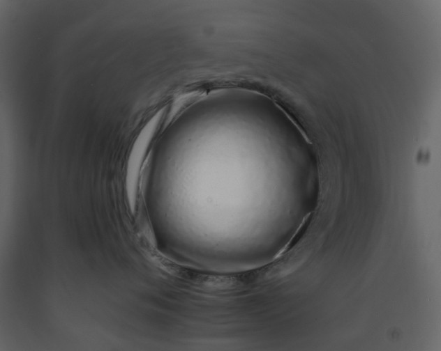 X0000092260720200710051319