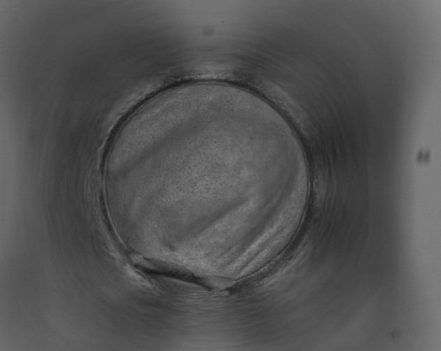 X0000092260721200710051318