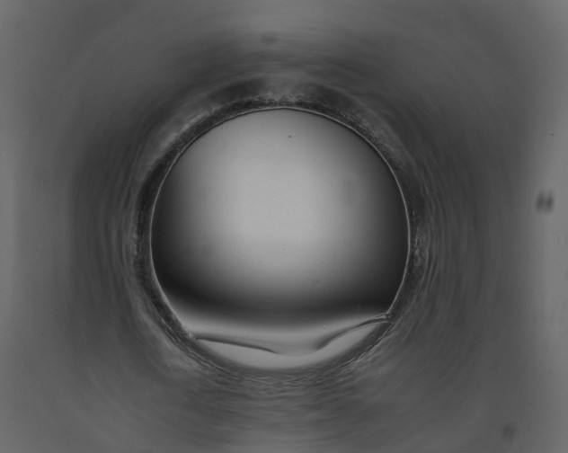 X0000092260722200710051318