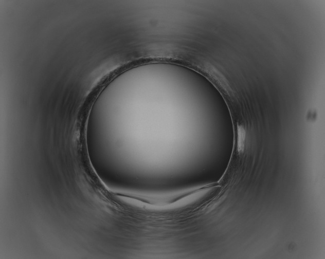 X0000092260723200710051318