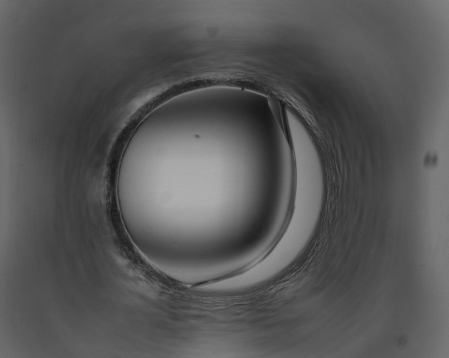 X0000092260724200710051318