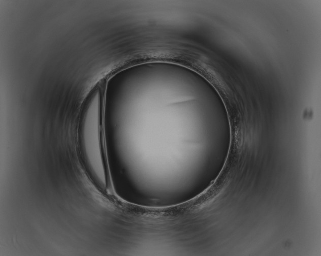 X0000092260725200710051318