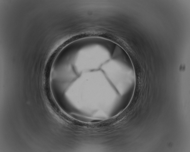 X0000092260726200710051318