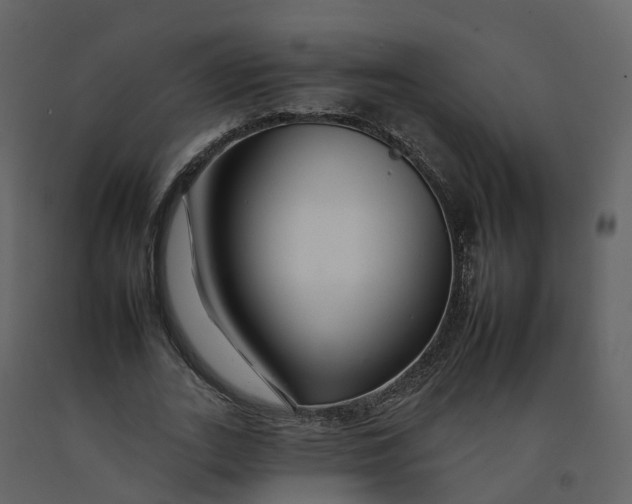 X0000092260727200710051318