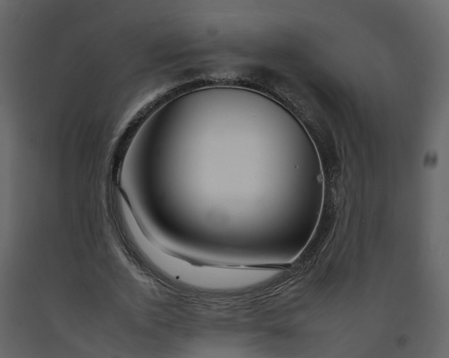 X0000092260728200710051318