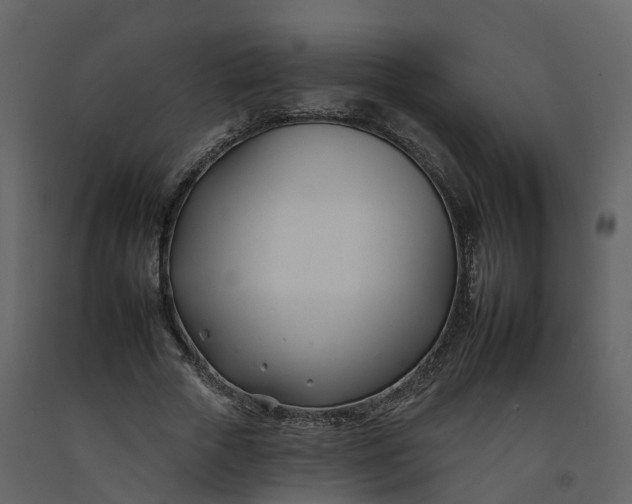 X0000092260729200710051318