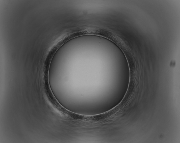 X0000092260730200710051318