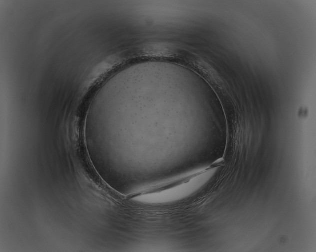 X0000092260731200710051318