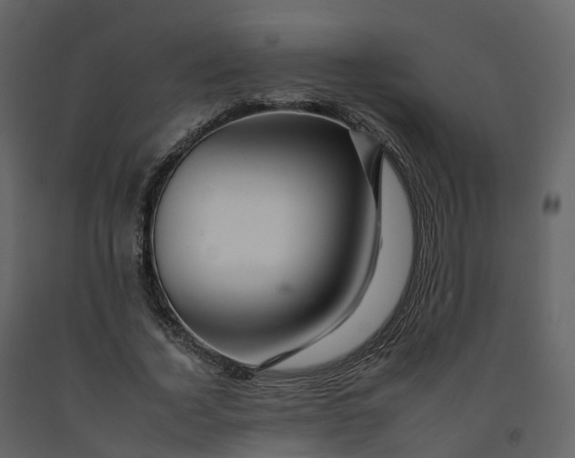 X0000092260732200710051318