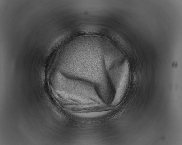 X0000092260733200710051319