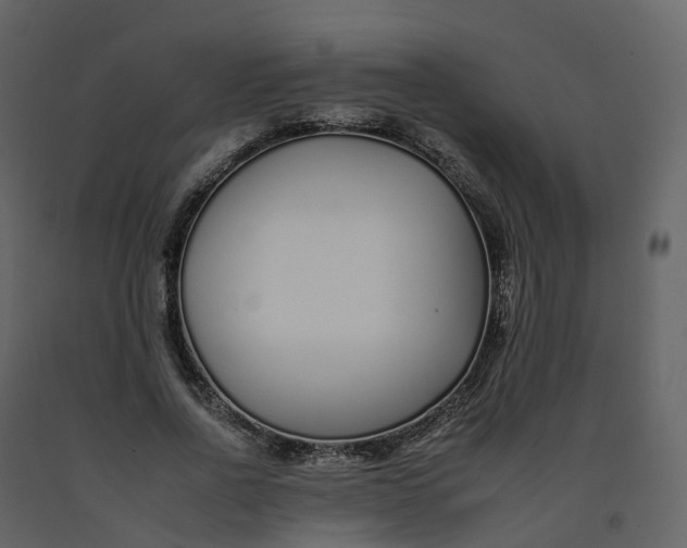 X0000092260734200710051319