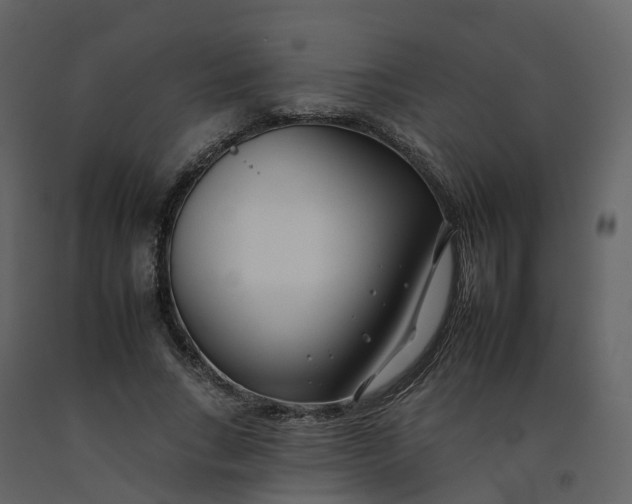 X0000092260735200710051319